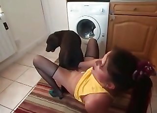 Playful babe and dog having amazing sex