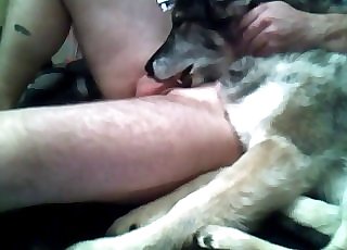 Mutt eating my hard dick in room