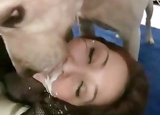 Dog gobbles her face after bestiality Hardcore