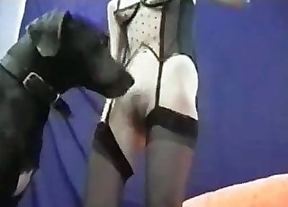 Slut dressed in a sexy undergarments wants to fuck a cute dog