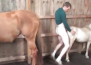 Fucking amazing pony in doggie-style pose