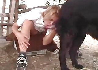 2 hot zoophiles are sucking a doggy boner