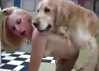 Dogs fucking fast and wet