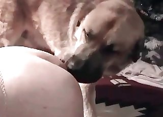 Full whore really wants to please the cock of this doggie