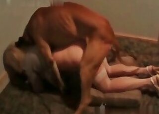 Sex with Animals for Free