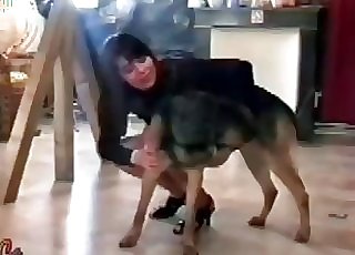 Sexy brown-haired sucking her lovely doggy