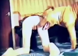 Zoophile porn shows lightning-fast doggystyle