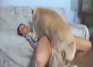 Hot-pussied lady gets fucked by a white mutt