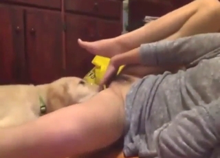 Nightly bestiality exploration from an Asian hoe