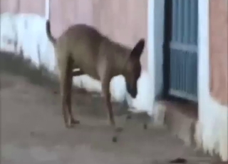 Good-looking uncultured jerking elsewhere with respect to public too