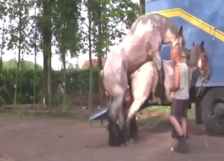 Mare vs stallion fuck scene with hot banging