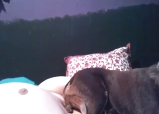 Smoking hot facesitting from a sexy doggo