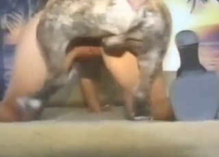 Blonde's hot doggystyle love scene with goggle