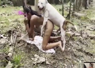 Girl tried adjacent to crawl away but got fucked by Gladstone bag