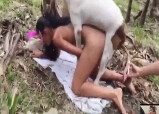 Girl tried adjacent to crawl away but got fucked by Gladstone bag