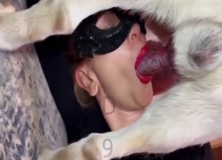 Sexed-up zoophile gets fucked orally by a mutt