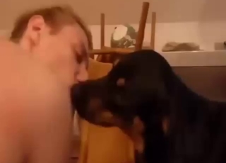 Gay bestiality porn with twink foreplay action