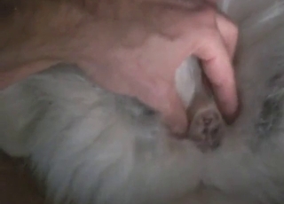 Hot vag creature is spiralling to get fingered in POV