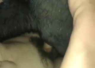 Disastrous dog with a soaking hole wants to fuck an Asian