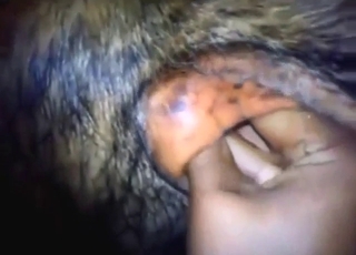 Bull fuck scene with a guy who wants to finger
