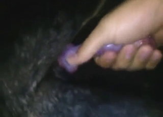 Playful guy wants back lallygag off a slutty dog