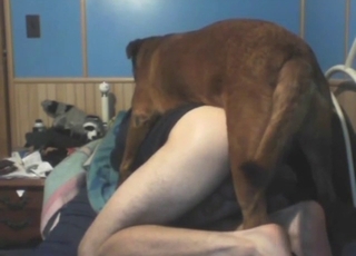 Brown briefcase with a fast unearth fucking a hot dude