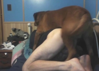 Brown briefcase with a fast unearth fucking a hot dude