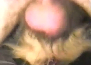 Victorian ladies' gets randy as have sex while dicking ogress