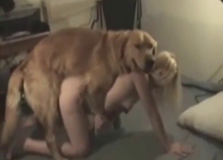 Zoophile girlie shaking her addict and taking dick