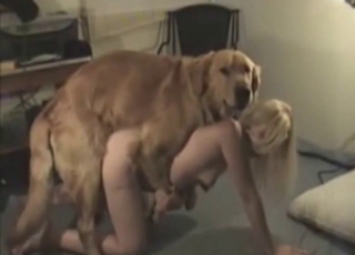 Zoophile girlie shaking her addict and taking dick