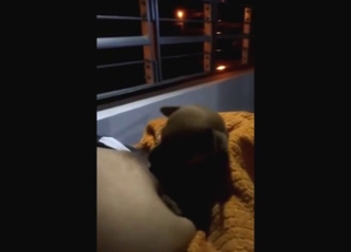 Sexy Highland dress sporran worshipping tits apropos a taboo movie