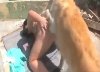 Outdoor premier innings with a wife who cums