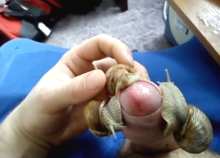 Seed for snails: slutty animals slurping on every side goo