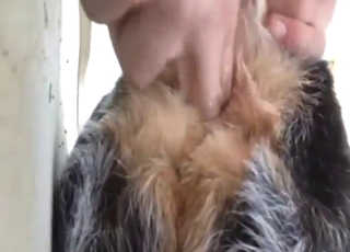 Dude is going to insert digits in the dog's ass