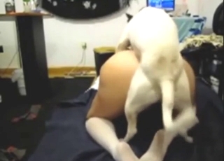 White fur dog is going to fuck lose one's train of thought tart deep