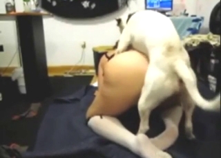 White fur dog is going to fuck lose one's train of thought tart deep