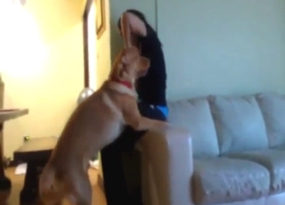 Asian babe is sliding to fuck her fave dog as well