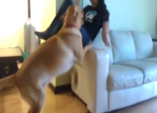 Asian babe is sliding to fuck her fave dog as well