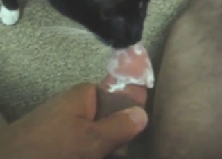 Cat's licking skills are on ripsnorting display all over