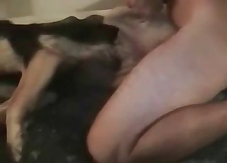 Exploring and stretching dog bung