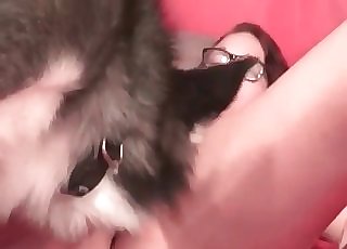 Husky licks her tight crack in homemade XXX
