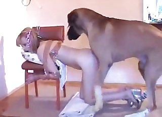 Bondage and bestiality romp with a mutt