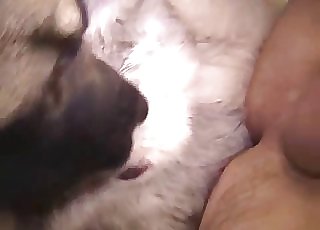 Sweet anal sex action with my doggy