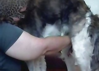 The ass of this fuckslut is drilled down by the chisel of a hound
