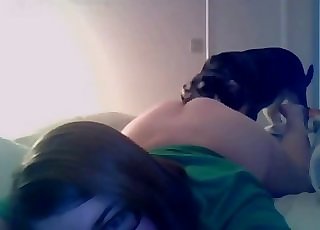 Young gal gets rimmed by a doggo