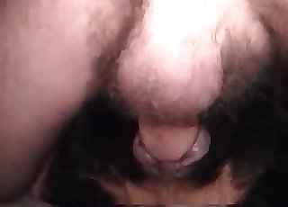 Dog got nicely drilled by male dick