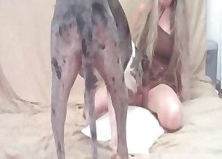Trained dog licks her wide-opened cock-squeezing vagina