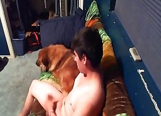 Boy playing with his sexy doggy on cam