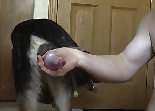 Dude worships this dog's cock