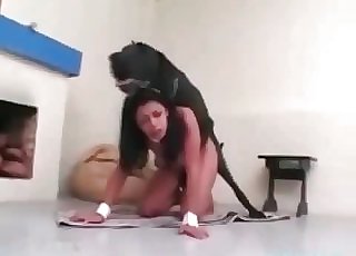 Tanned doll fucked by a dog on all fours
